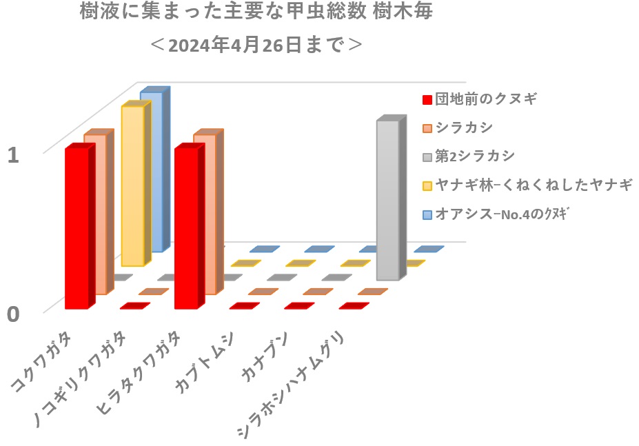 昆虫バカセフォールドで見つかった樹液に集まる主要な甲虫数 樹木別総数_240426
